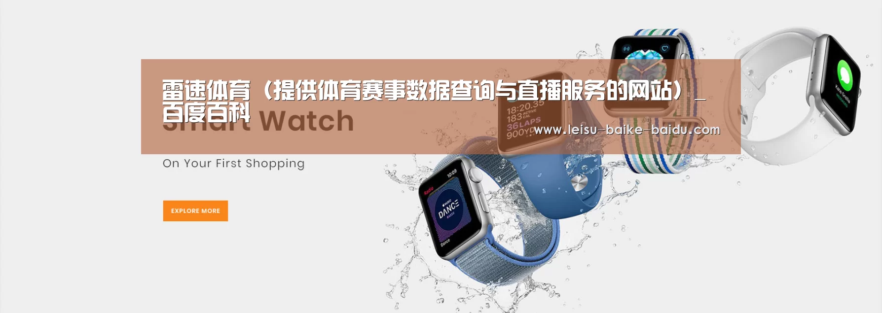 某某网络科技有限公司