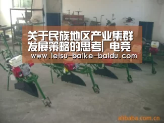  比分直播
