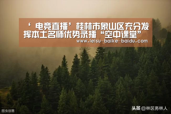  雷速体育