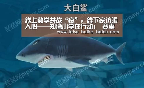  赛事数据