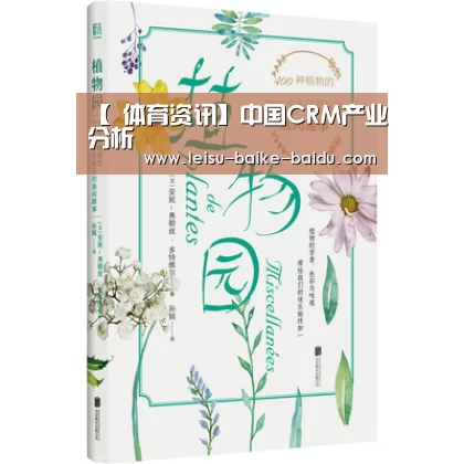 【 体育资讯】中国CRM产业分析